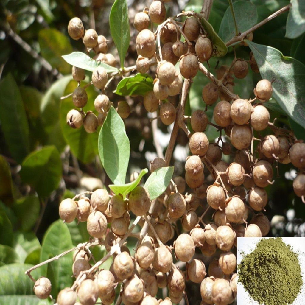 Maruthani Vithai / Henna Seed Powder
