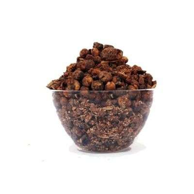 Buy Aalam Vithai / Banyan Tree Dried Seed ( Raw )
