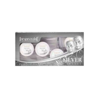 Aryanveda Silver Spa Facial Silver