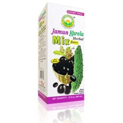 Basic Ayurveda Jamun Karela Mix Juice
