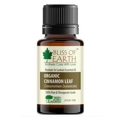 Bliss of Earth Organic Sri Lankan Cinnamon Leaf Essential Oil