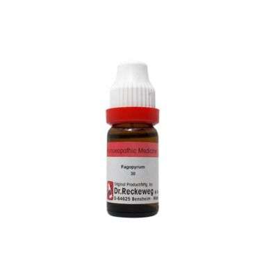 Dr. Reckeweg Fagopyrum Esculentum - 11 ml
