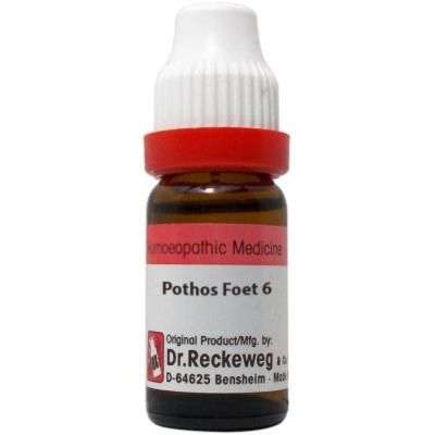 Dr. Reckeweg Pothos Foetidus - 11 ml