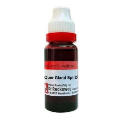 Buy Dr. Reckeweg Quercus Glandibus Q
