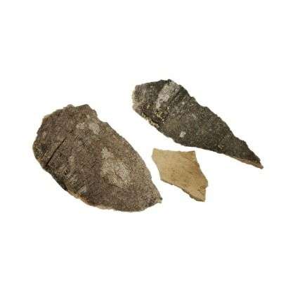 Mavilanga Pattai / Caper Tree Bark (Raw)