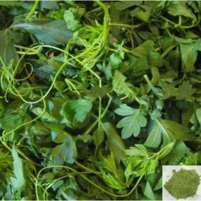 Mudakaruthan / Balloon Plant Powder