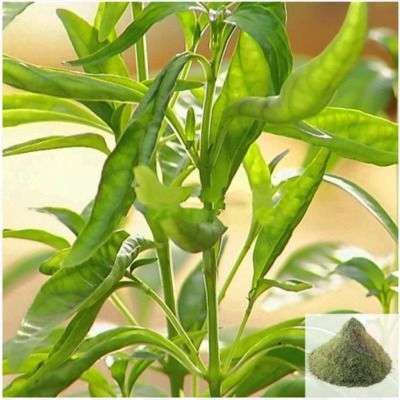 Nattu Nilavembu / Siriyanangai Powder