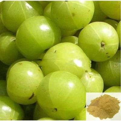 Nelli / Indian Gooseberry Powder