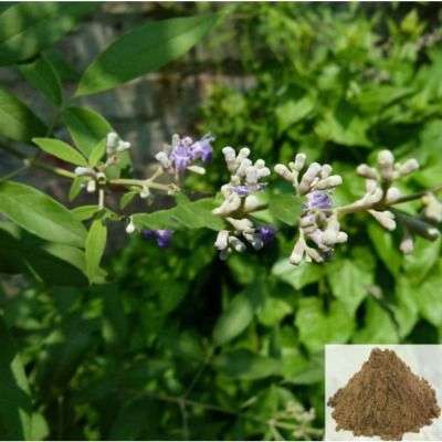 Nochi / Chinese Chastetree Powder