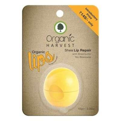Organic Harvest Shea Lip Balm