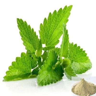 Pudina / Spearmint Powder
