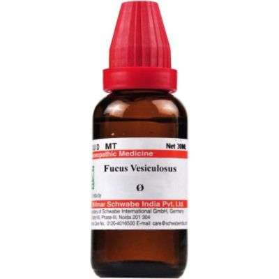 Schwabe Homeopathy Fucus vesiculosus - 1x