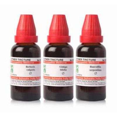 Schwabe Homeopathy Levisticum officinale MT