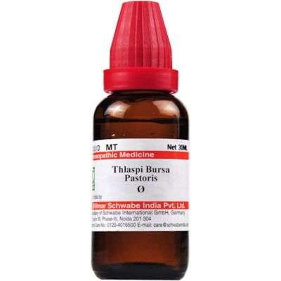 Schwabe Homeopathy Thlaspi bursa pastoris MT
