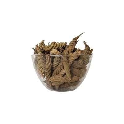 Valampuri Kaai / Indian Screw Tree ( Raw )