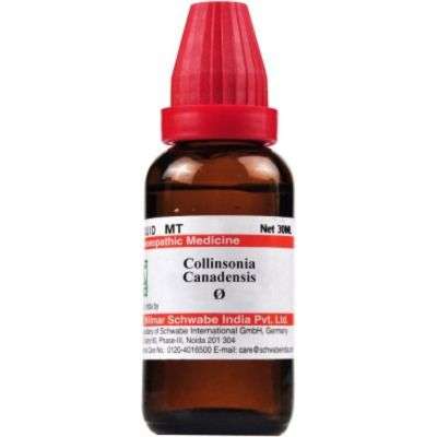 Willmar Schwabe India Collinsonia Canadensis - 30 ml