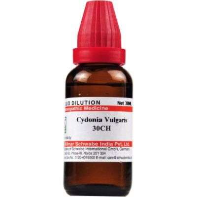 Willmar Schwabe India Cydonia Vulgaris - 30 ml