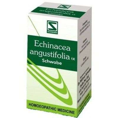 Willmar Schwabe India Echinacea Angustifolia 1X Tablets