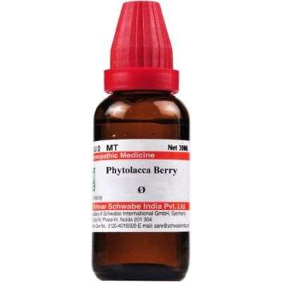 Buy Willmar Schwabe India Phytolacca Berry 1X(Q)