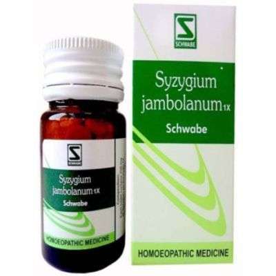 Buy Willmar Schwabe India Syzgium Jambolanum 1X Tablets