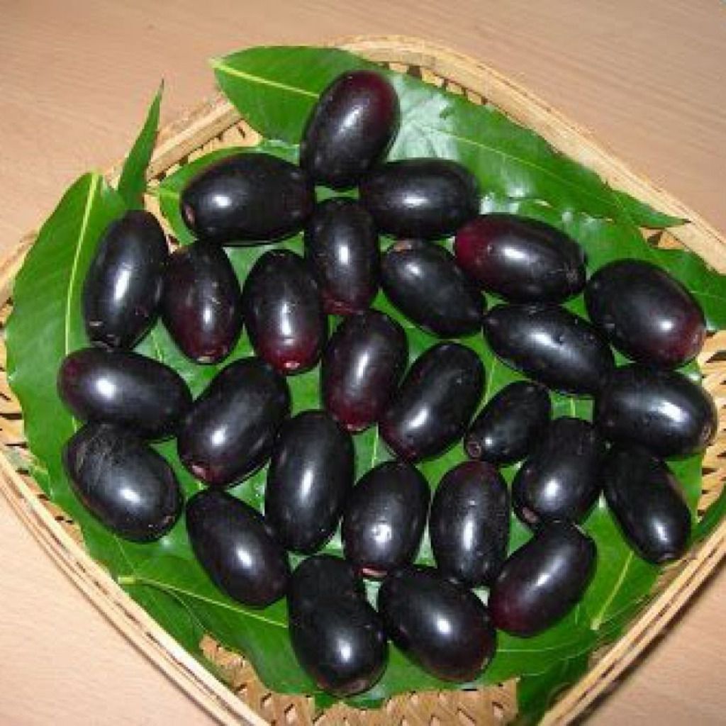 Naval Kottai / Jamblang / Jambolan / Jamun Powder