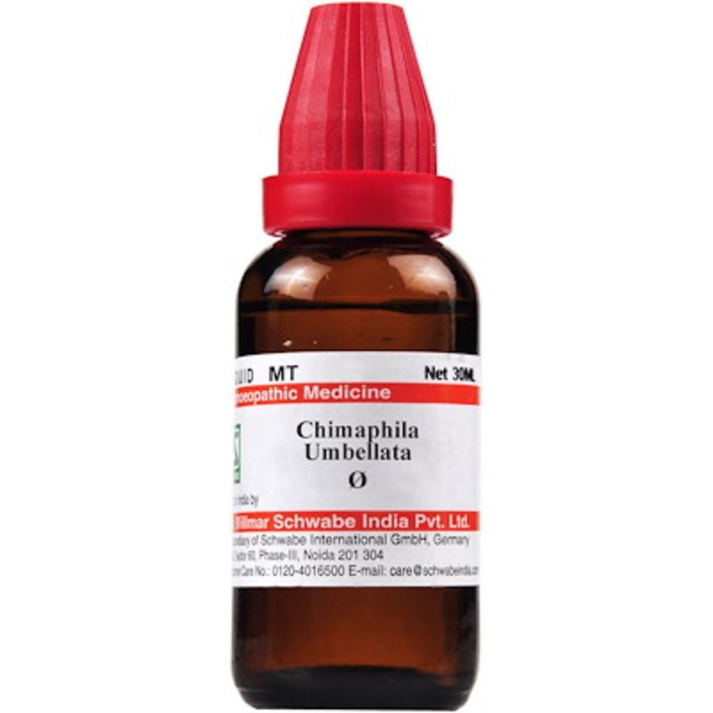 Schwabe Homeopathy Chimaphila umbellata MT