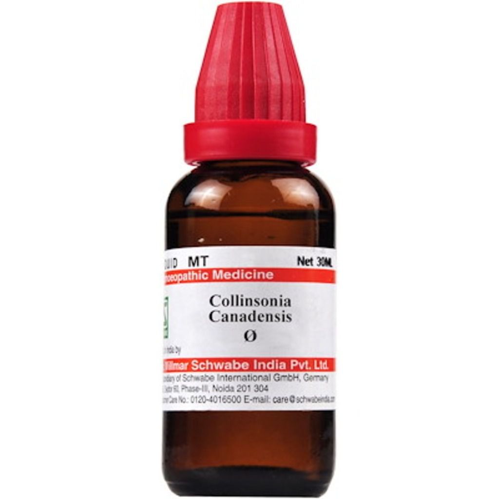 Schwabe Homeopathy Collinsonia canadensis MT