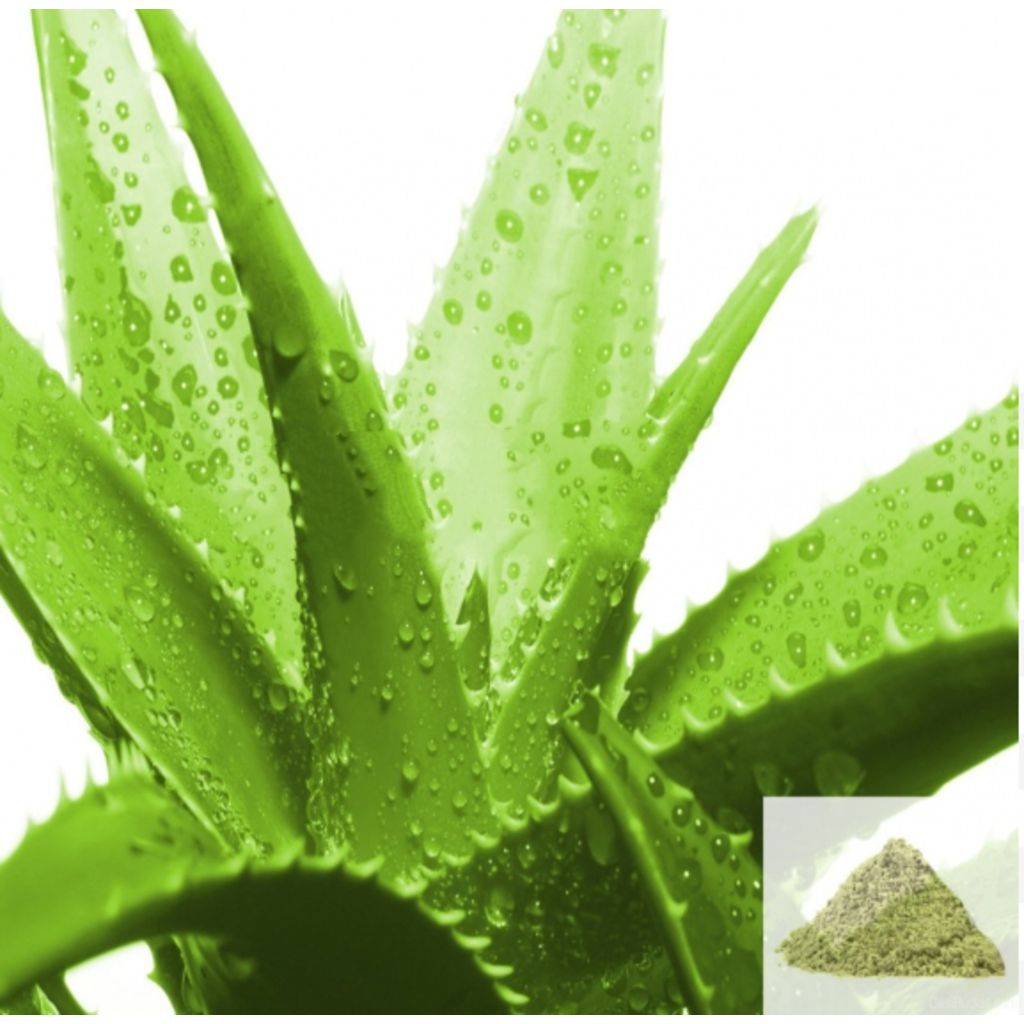 Sothu Katralai / Aloevera Powder