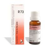 Dr. Reckeweg R73 Joint - Pain Drops