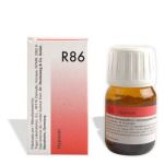 Dr. Reckeweg R86 Low Blood Sugar Drops