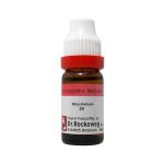 Dr. Reckeweg Strychninum - 11 ml