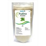 Healthvit Pudina Powder