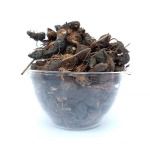 Korai Kilangu / Purple Nut Sedge / Nut Grass Dried (Raw)