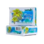 Santhigiri Charma Suddhi Herbal Soap