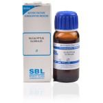 SBL Eucalyptus Globules - 30 ml