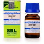 SBL Pulsatilla Nigricans - 10 ml