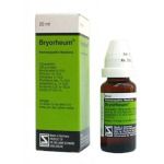 Schwabe Homeopathy German Range Bryorheum