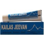Sumshodhanalaya Kailas Jeevan
