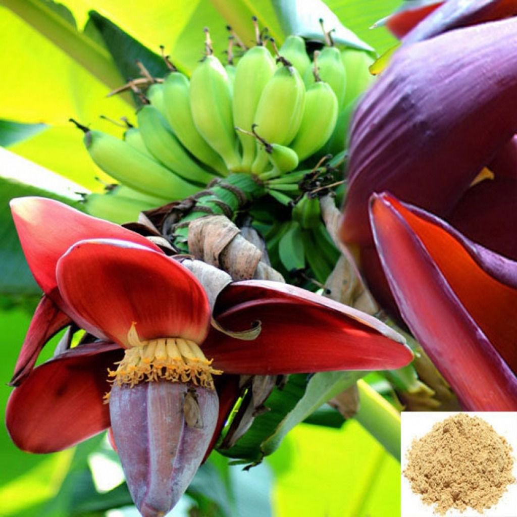 Vazhaipoo / Banana Flower Powder